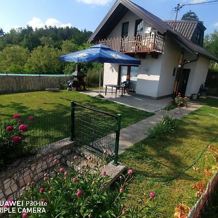 Asja Guest HouseLukavac エクステリア 写真
